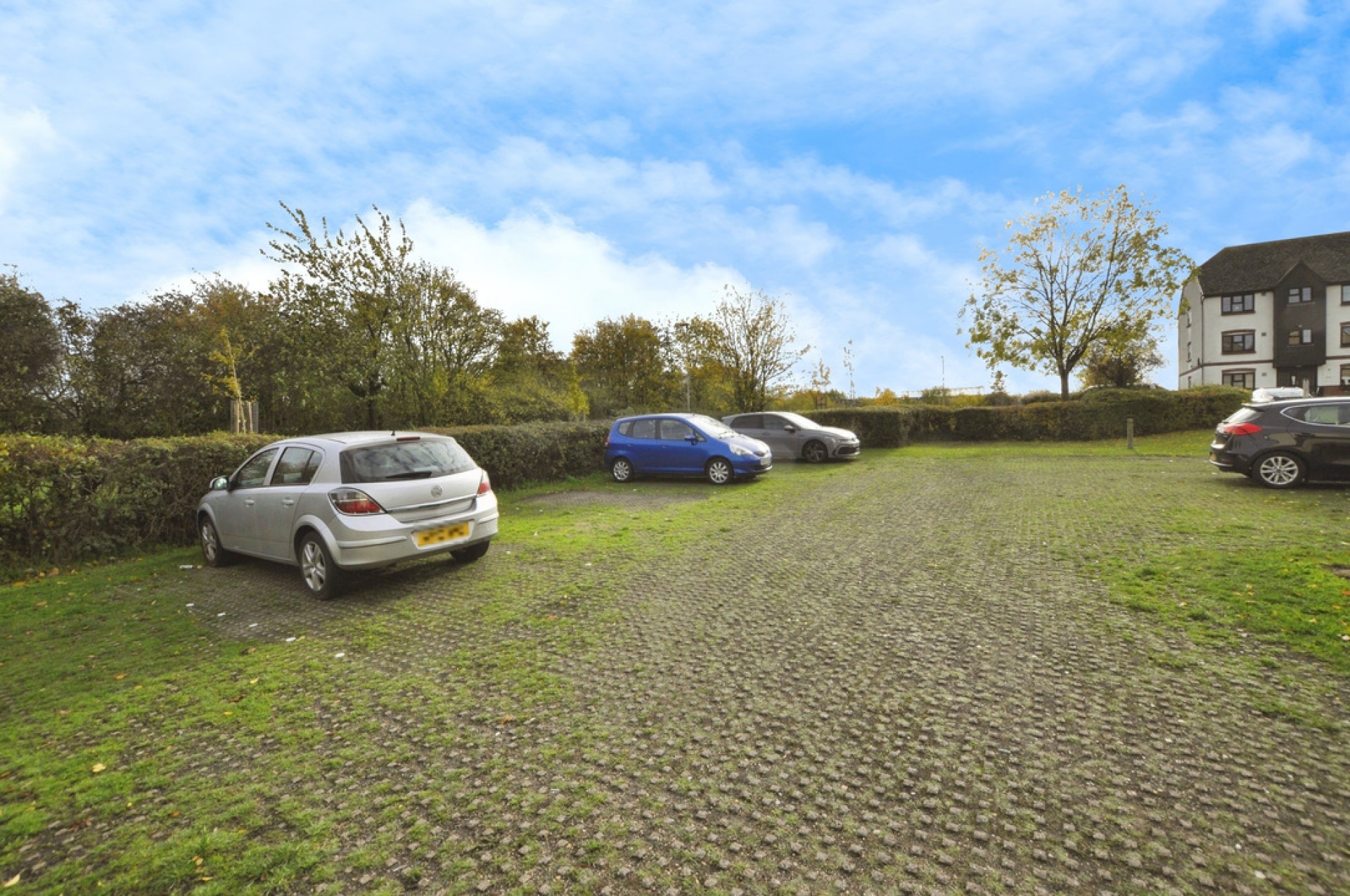 Images for Elderberry Gardens, Witham