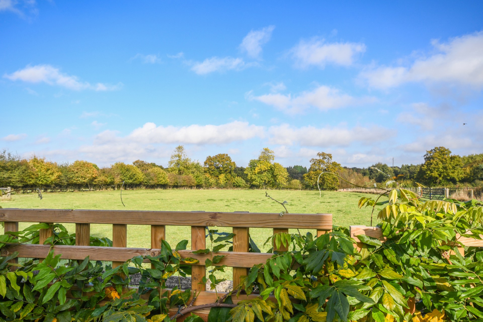 Images for Coxtie Green Road, Pilgrims Hatch, Brentwood