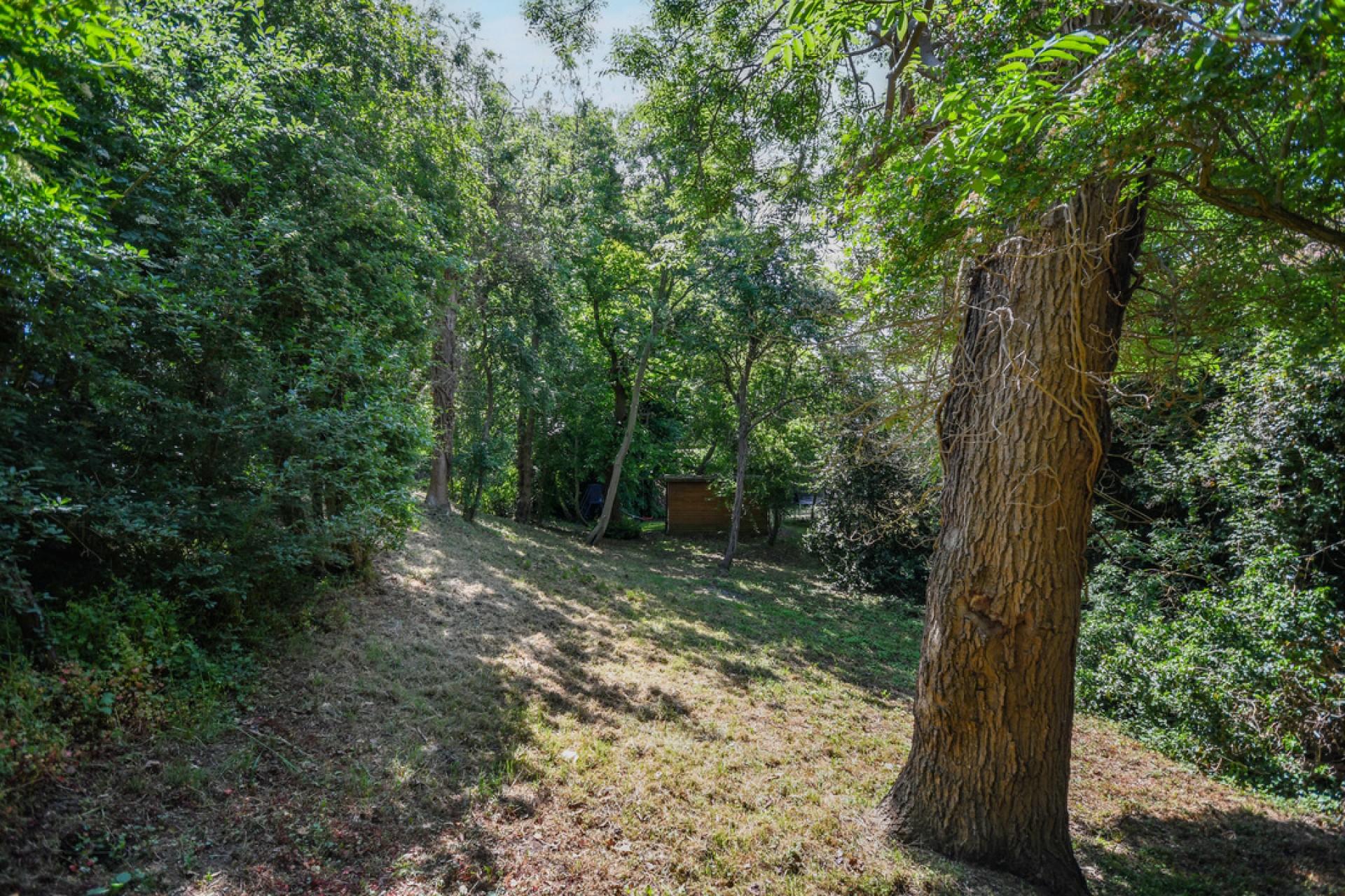 Images for Back Road, Writtle, Chelmsford