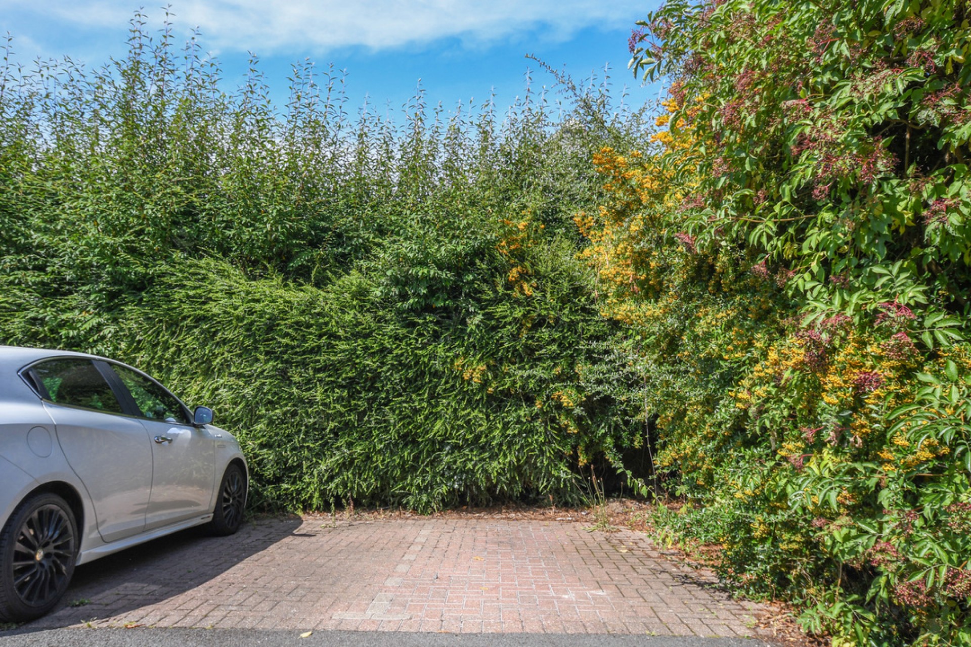 Images for The Meades, Chelmsford