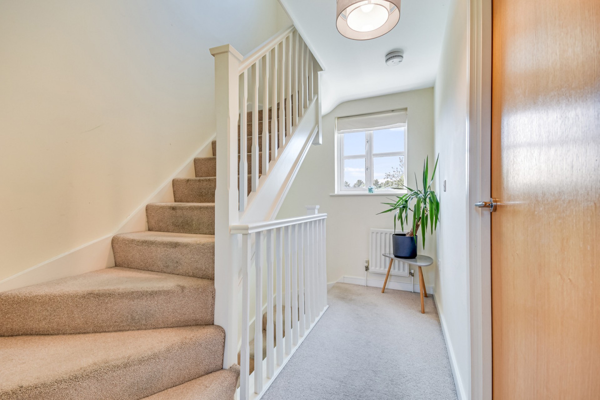 Images for The Meades, Chelmsford