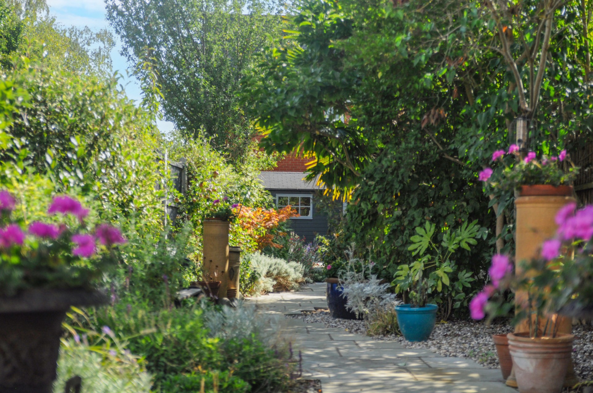 Images for Park Avenue, Chelmsford