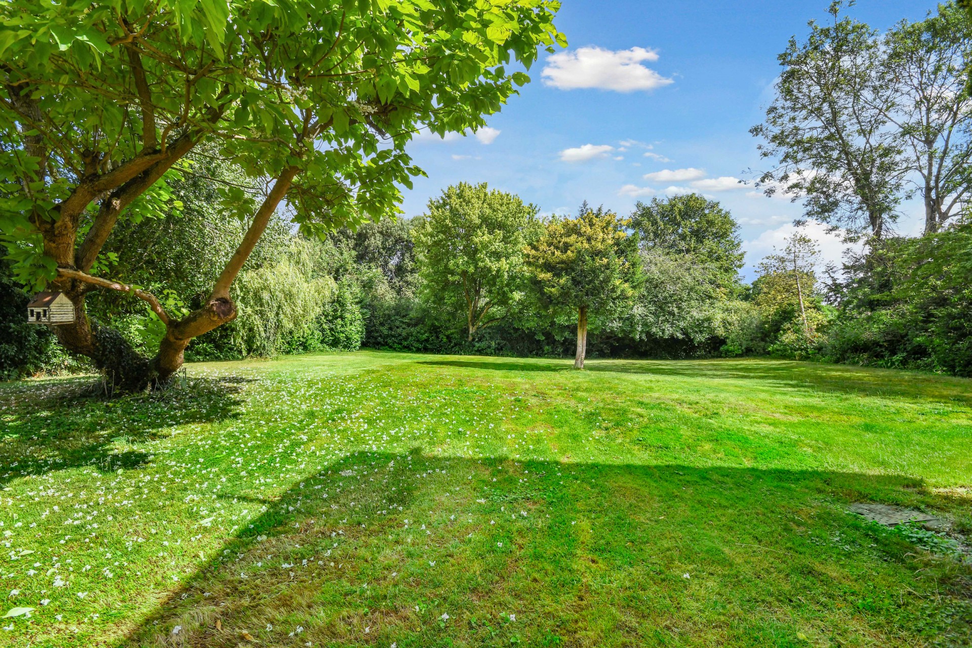 Images for Church Road, Boreham, Chelmsford