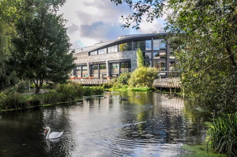 Bond Street, Chelmsford