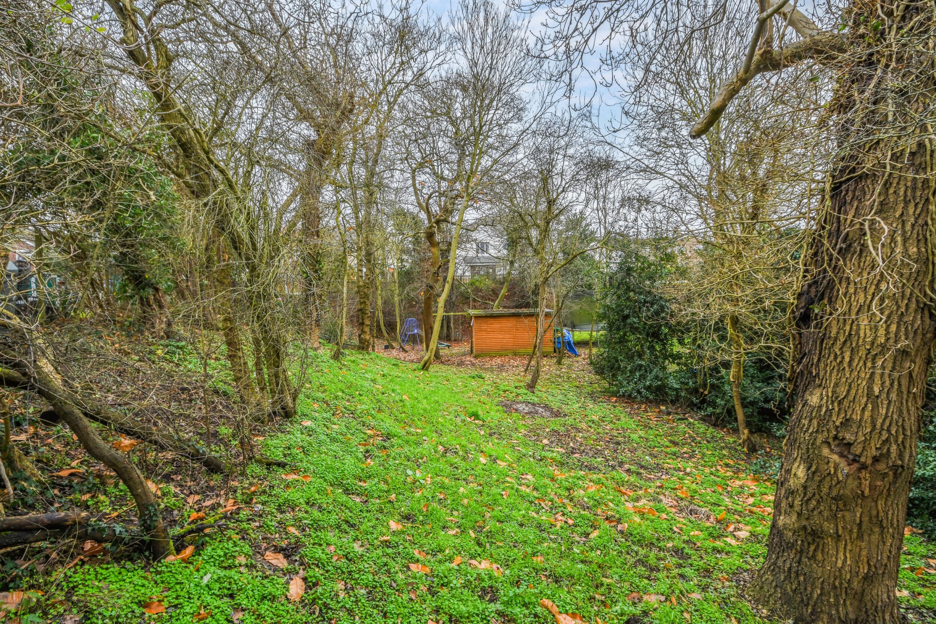 Images for Back Road, Writtle, Chelmsford