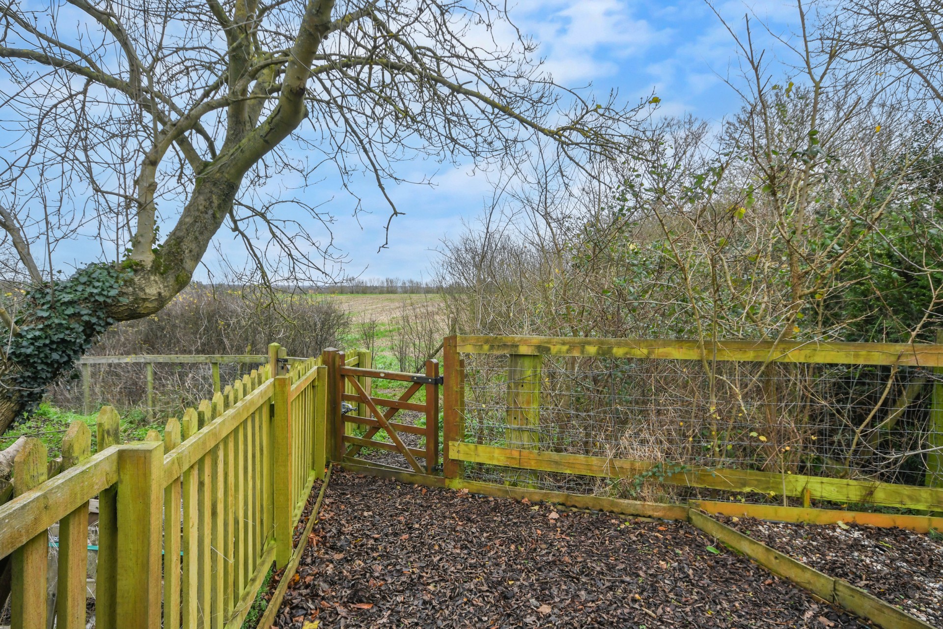 Images for Back Road, Writtle, Chelmsford