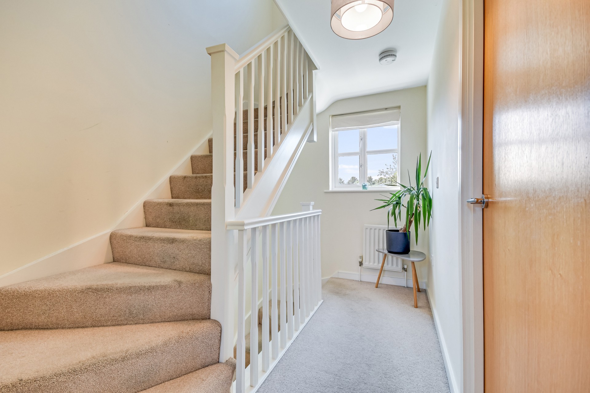 Images for The Meades, Chelmsford