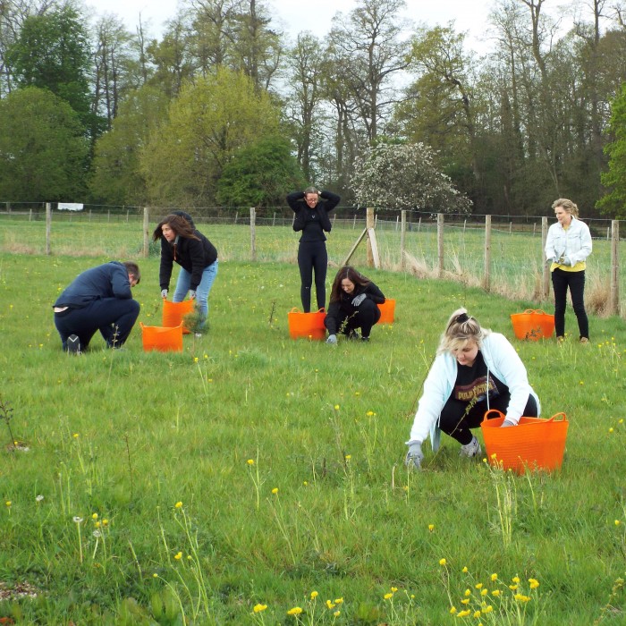 Volunteering at Hylands Estate