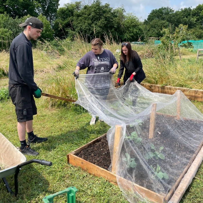 Volunteering at Avon Road Community Allotments