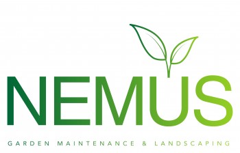 Nemus Landscapes